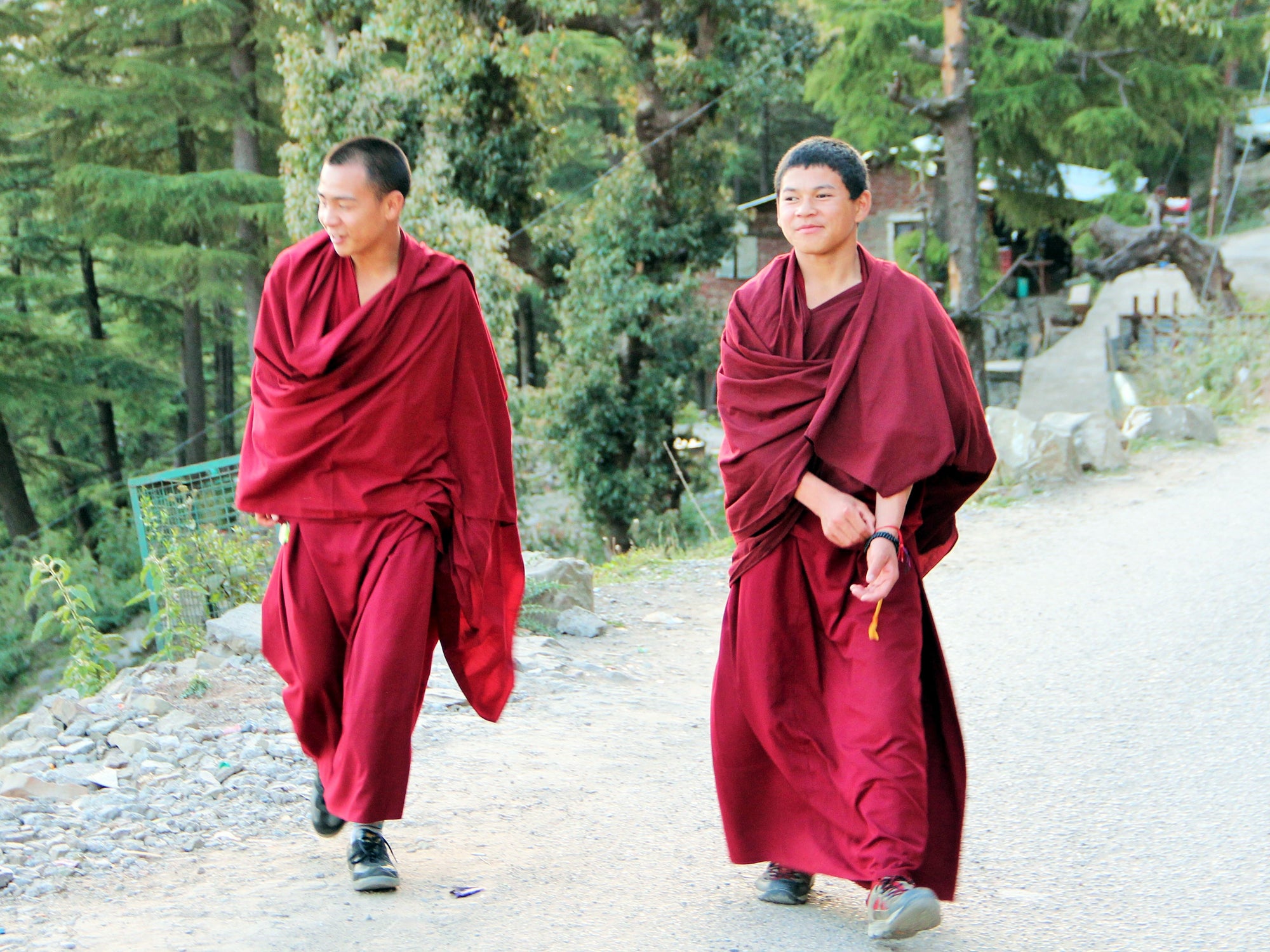 The Tibetan Buddhist community