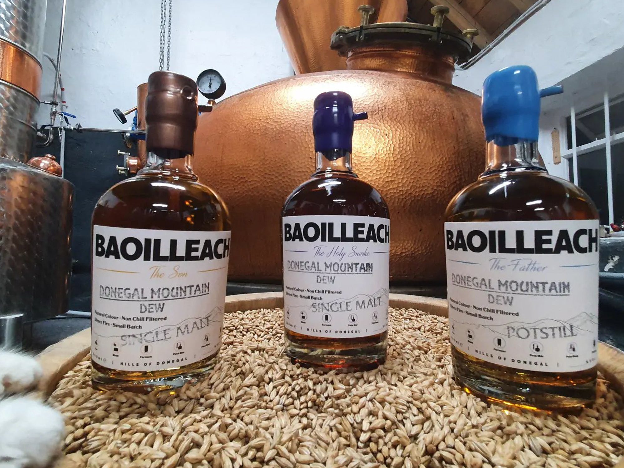 Baoilleach Distillery Tour and Tasting