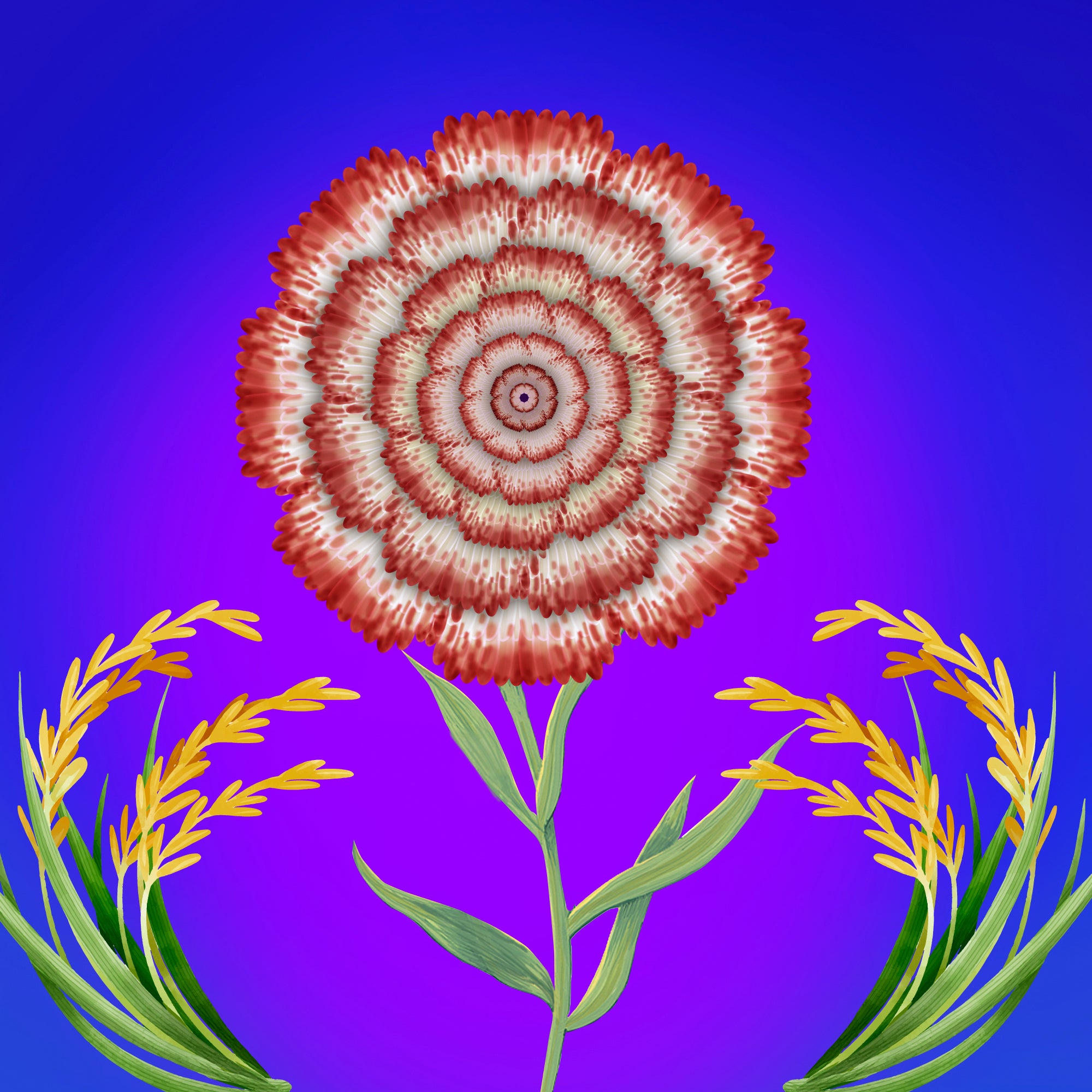 Rice Crafters: A Time of Carnations
