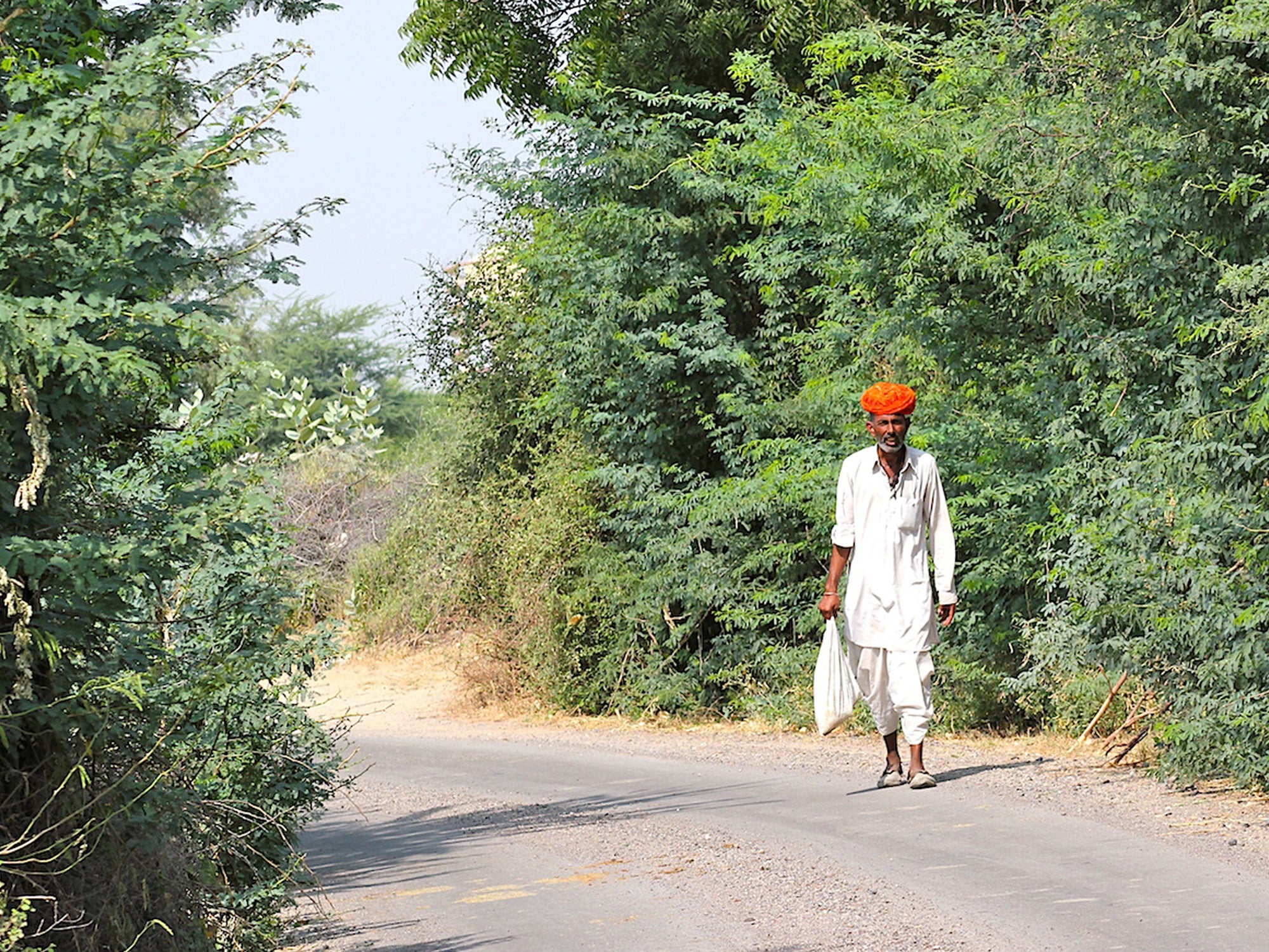 On the Roads of Rajputana