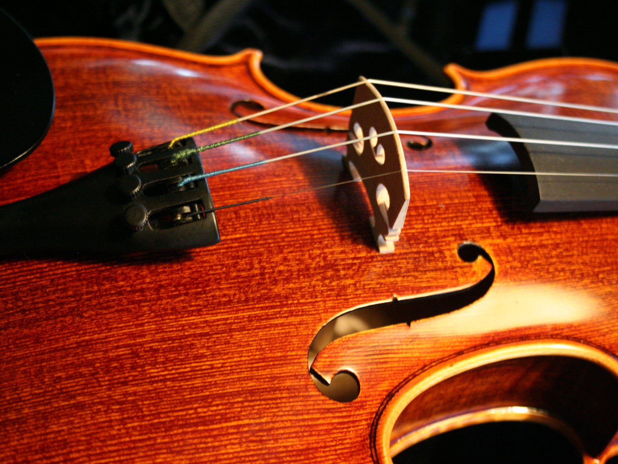 Violin makers extraordinaire